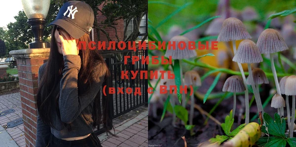 бошки Балахна
