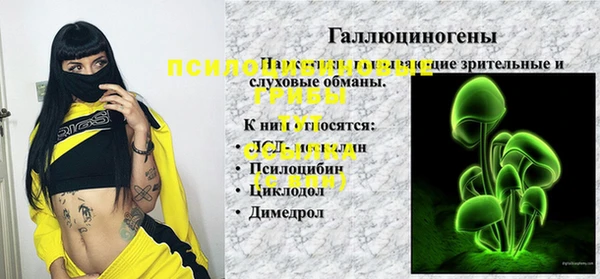 прущая мука Белокуриха