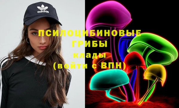 бошки Балахна