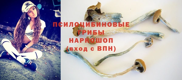 ГАЛЛЮЦИНОГЕННЫЕ ГРИБЫ Струнино