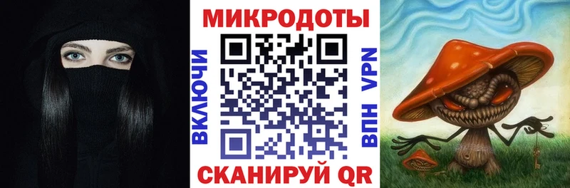 Псилоцибиновые грибы прущие грибы  Ершов 